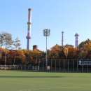 마들스타디움 이미지