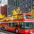 투어비스타 이미지