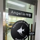 아이디어 | [아산 온천동] 온천동 수족관 카페 '엔젤인어항'