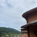 강천산 나비잠 이미지