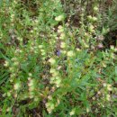 종해농장 이미지