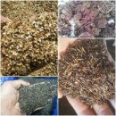 환산농장 이미지