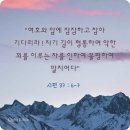 마음의 법칙 이미지