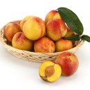 의성군농업기술센터(금성지소) 이미지