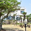 오조리-8 이미지