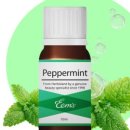 허브이야기 이미지