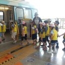 포곡초등학교 이미지