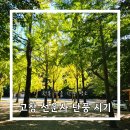 선운산호텔 | 가을 단풍 명소 선운산 전북 가볼만한 곳 고창 선운사 방문 시기