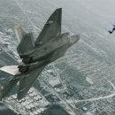 도그 에이스 이미지