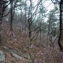 돌샘약수터 이미지