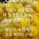 오상고절 이미지