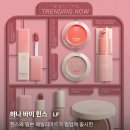 쁘띠뷰티