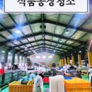 새삥종합청소서울지사