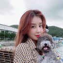 골프홀릭 이미지