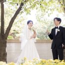 초이스결혼문화원 | 남산문화예술원 담다스튜디오 본식 사진