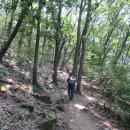 새미약수터 이미지