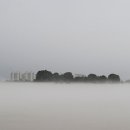 하얀물안개 이미지