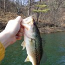 고남저수지 이미지