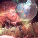 [BRIC 뉴스레터] 왜 T세포(T cell)인가? 꿈의 소재 그래핀양자점을 이용한 불치의 소아치매 치료제...