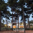 숲을향한시선 이미지