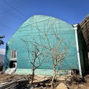 다인농장2 이미지