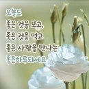 유월의 열하룻날 이미지