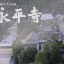 헤이지 Daum카페