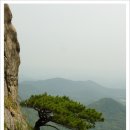 정이만물 이미지