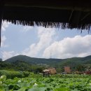 내동-6 이미지