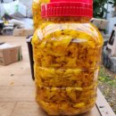 병양농장 이미지