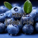 과일액상/ 입호흡 액상 /MOKO 블루베리 사워 [중구 전자담배, 약수 전자담배, 약수역 전자담배, 신당동...