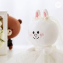 코니 이미지