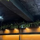 프레클데이 - 제주시 태성로3길 32 | 프레클데이