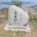 암태중학교 이미지