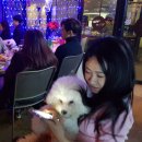 나랑놀개 이미지