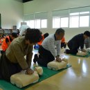 대관령초등학교 이미지