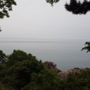 풀등유선