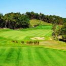 영동 일라이트CC 이미지