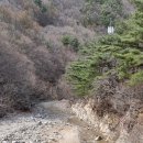 용동천 이미지