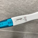 진세진산부인과의원 | 임신기록🐰~26주 | 일산 허유재병원 : 임신초기부터 임신중기까지