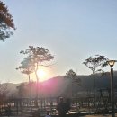 착한몬테소리어린이집 | 2026년 2월 일상기록 (36개월 태리)