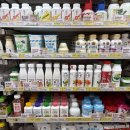 (주)피일레븐 | 중국 편의점 간식 추천 7 Eleven 과자 음료 요거트 바이주 세븐일레븐 방문기