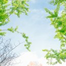 [결혼준비] W2. 본식 스냅 달전사진관/달전스냅 계약