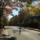 중앙로+진각로 이미지