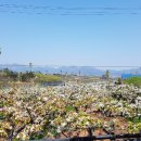 봉암농장 이미지