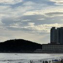 베러먼데이오션시티점 | 부산 여행 숙소 추천 [해운대 센트럴 호텔 디럭스 트윈룸 하프 오션뷰] 수영장, 아쉬운 점 후기