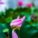 지사울공원 이미지