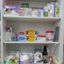 대치동동물약국 이미지