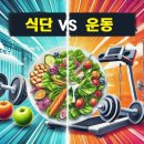 호이플랜 이미지