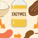 울주피크닉콘서트 <유월음악회> 이미지